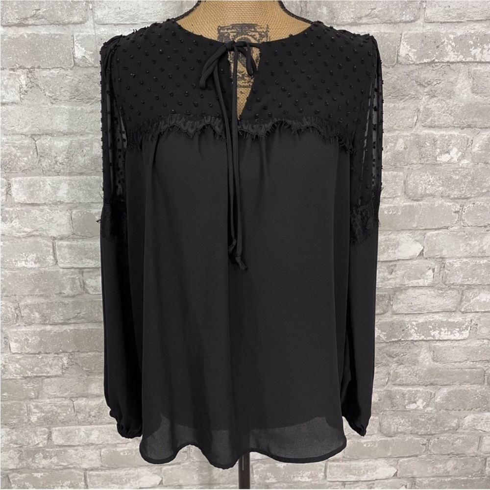 Gibson Swiss Dot Sheer Black Blouse
